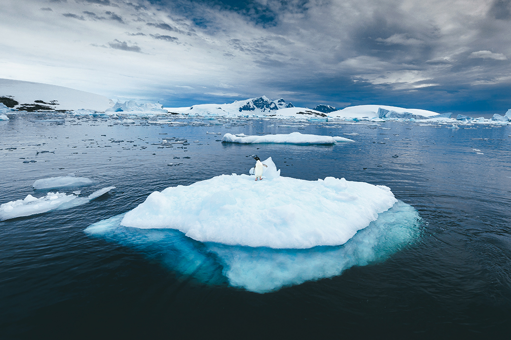 National Geographic Society reconhece um novo oceano: o Antártico