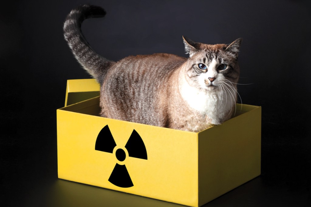 El gato de Schrödinger – Ciencia de Sofá