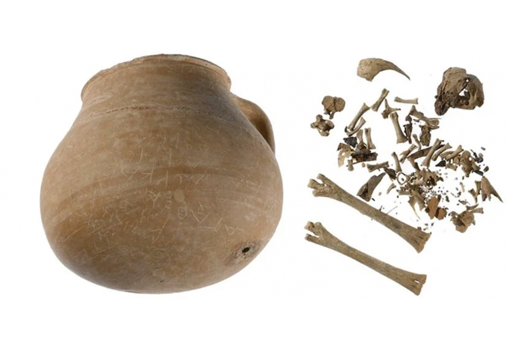 Foto da jarra de cerâmica ao lado de ossos, em um fundo branco.