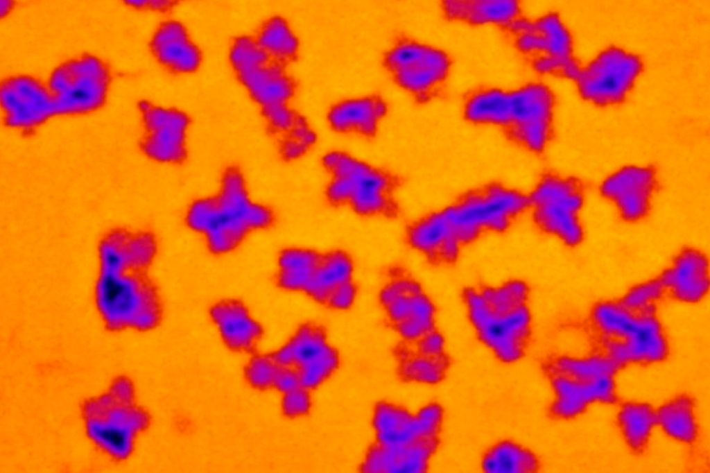 Pela primeira vez, cientistas medem a massa dos cromossomos humanos