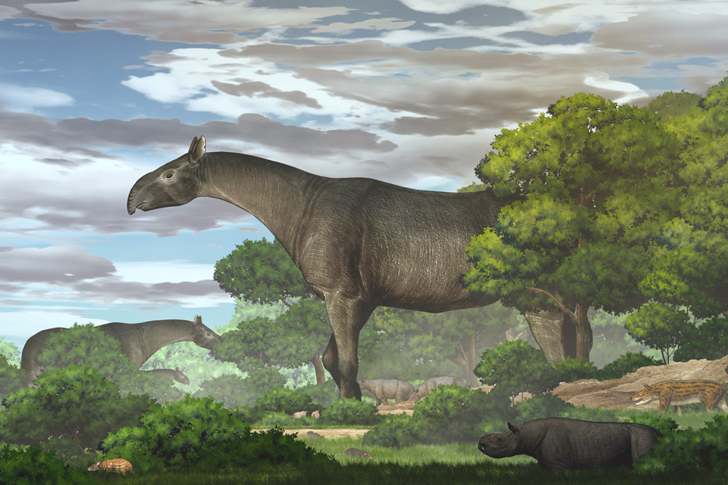 Interpretação artística do Paraceratherium linxiaense.