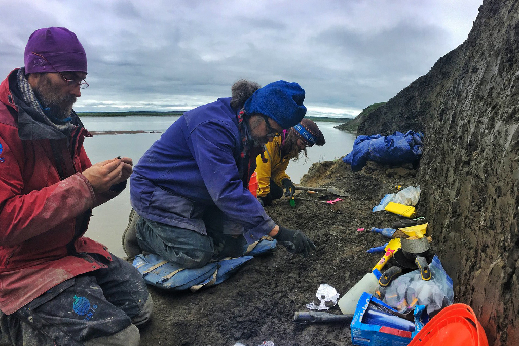 Pesquisadores no Alaska a procura de fósseis de dinossauro.