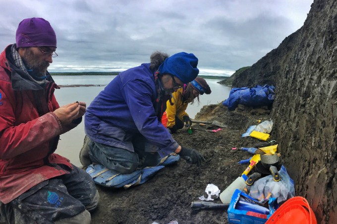 Pequenos fósseis encontrados no Alasca revelam presença de dinossauros no Ártico