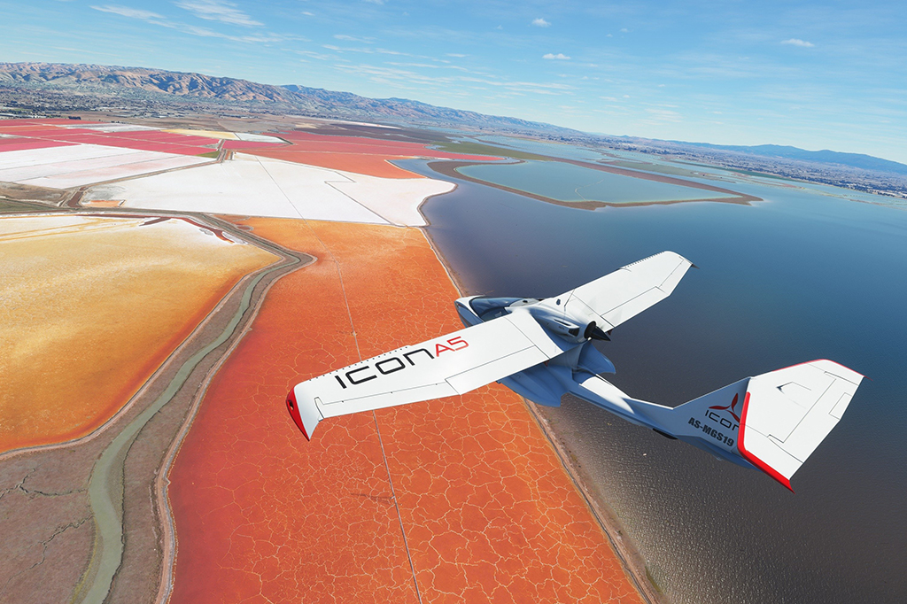 Imagem do jogo "flight simulator".