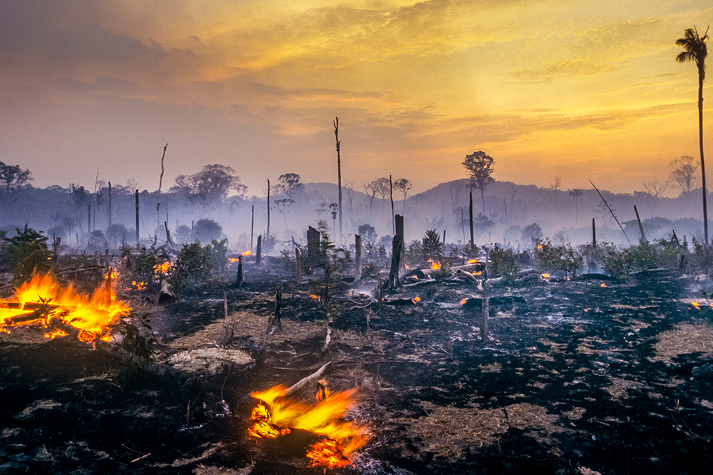 Foto do desmatamento na Amazônia.