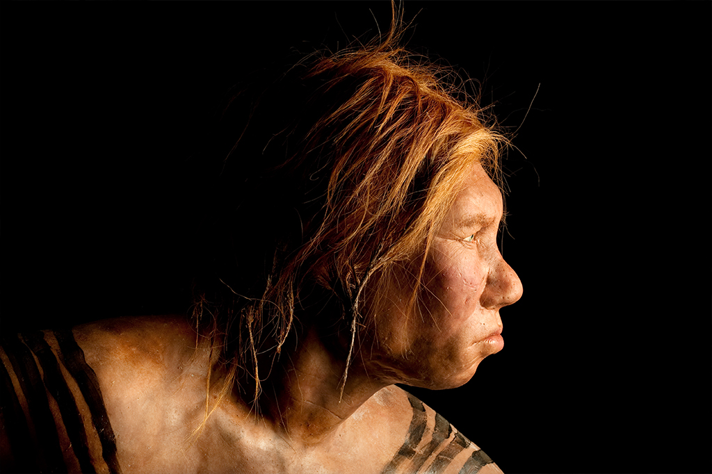 Modelo de mulher neandertal recriada a partir do estudo da anatomia de fósseis e DNA, como cor dos olhos e pele.