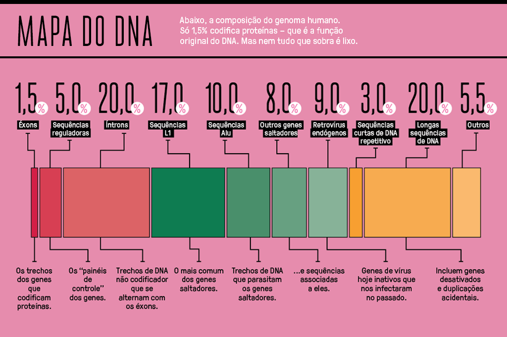 Gráfico de barras mostrando a composição do genoma humano.