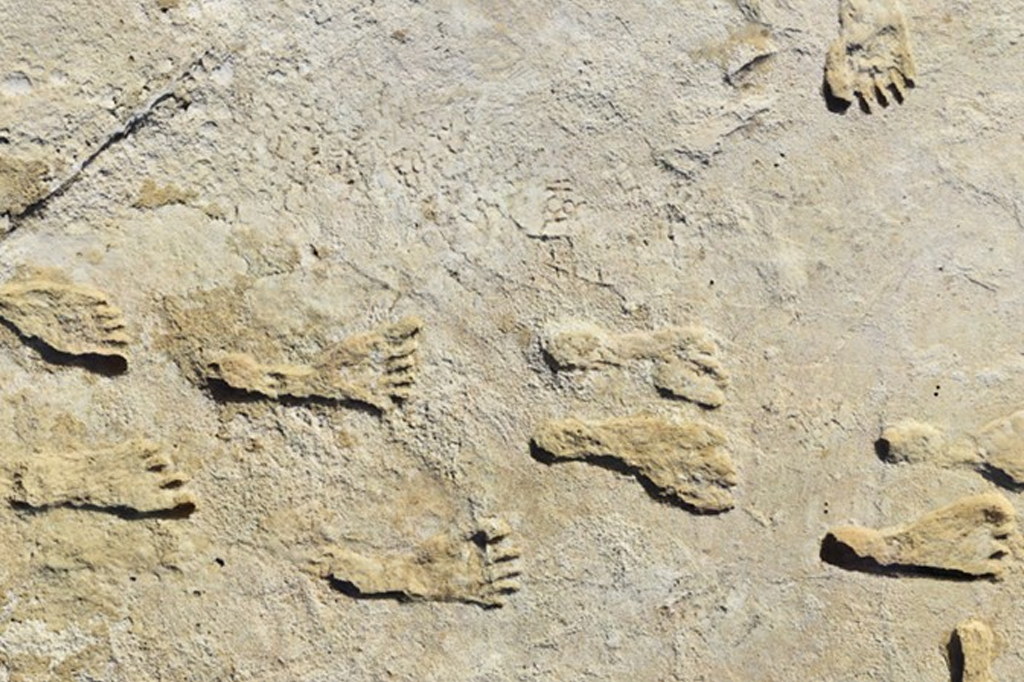 Pegadas humanas fossilizadas.