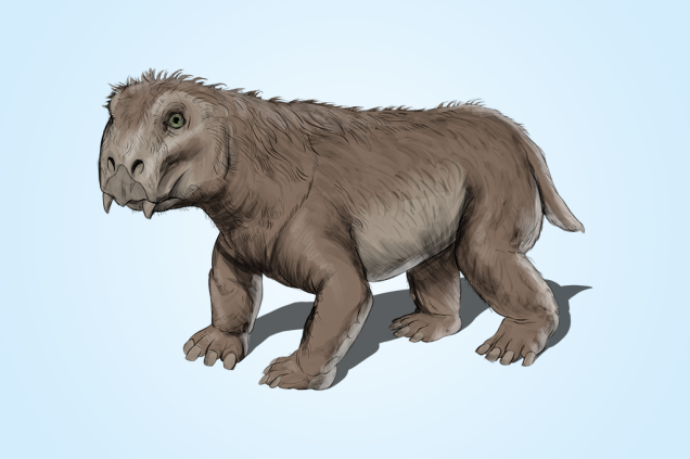 Lystrosaurus (250 Ma): Parece uma capivara com cara de tartaruga, mas é exatamente o oposto: um réptil que começava a adquirir características de mamífero.
