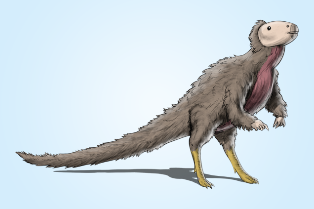 Trinisaura santamartaensis (80 Ma): É a única espécie já encontrada do gênero Trinisaura. Assim como o Antarctopelta, apenas um espécime foi descrito.