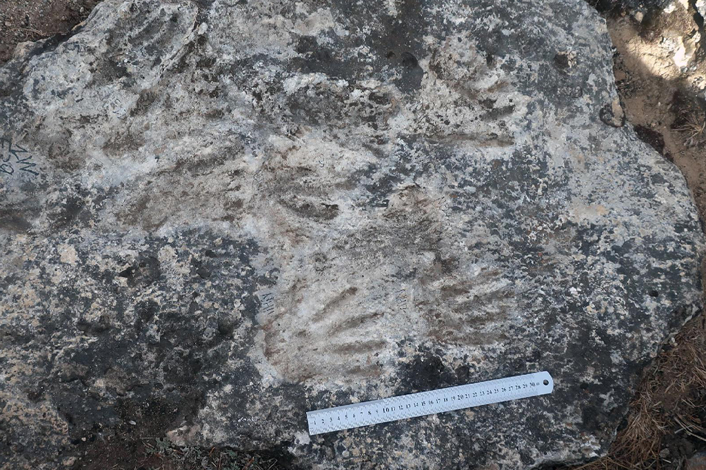 rocha com impressões de pequenas mãos, arte parietal fossilizada