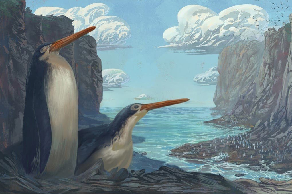Ilustração de dois pinguins de bico longo e laranja com um oceano de fundo