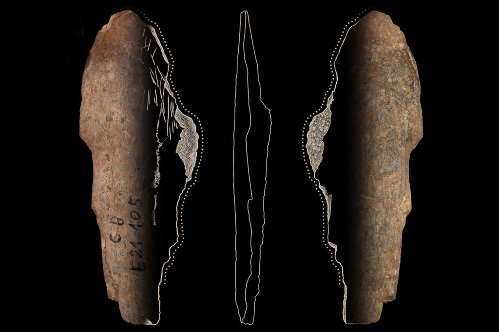 Imagem do instrumento feito com osso usado para trabalhar couro e pele em roupas entre 90.000 e 120.000 anos atrás