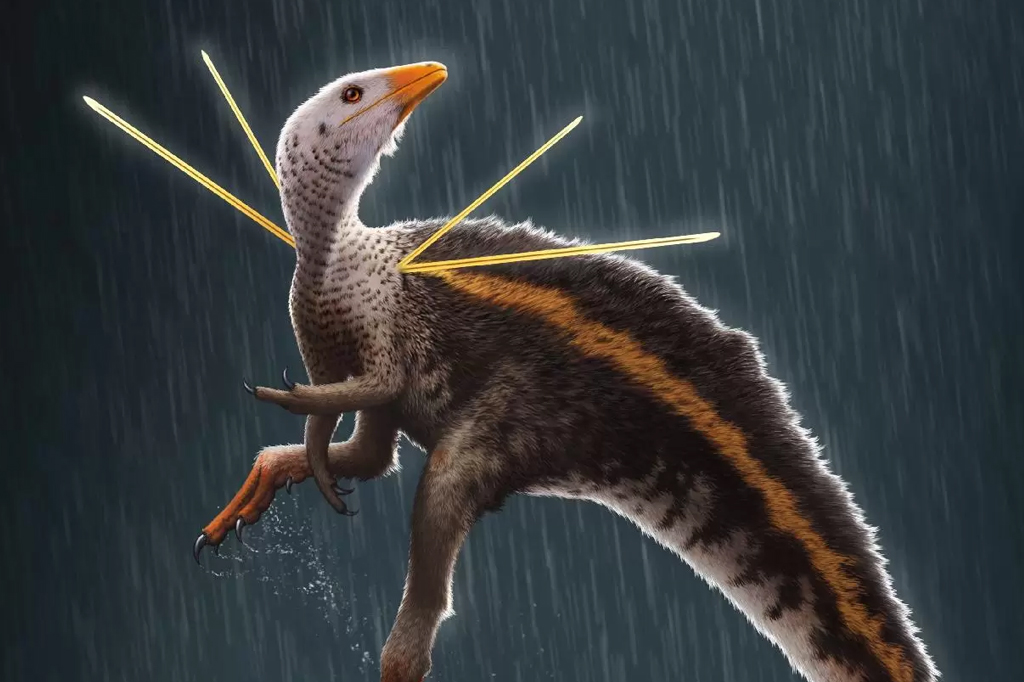 Reprodução artística do dinossauro Ubirajara.