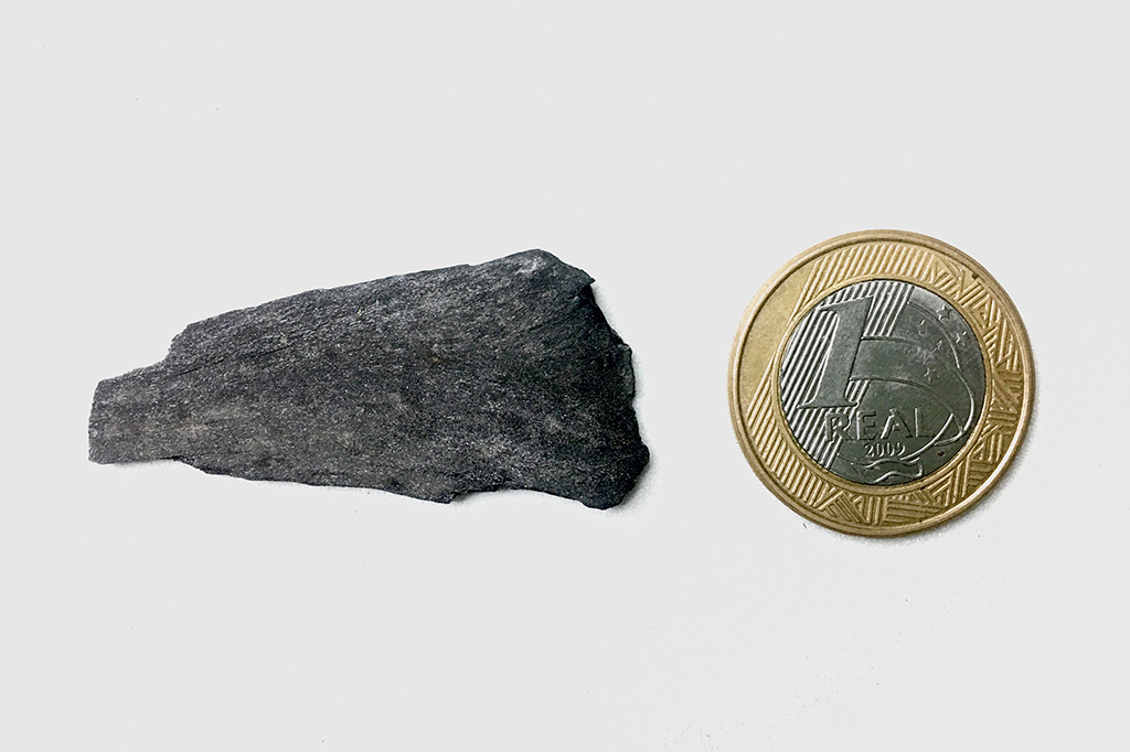 Fóssil sendo comparado em tamanho com uma moeda de 1 real.