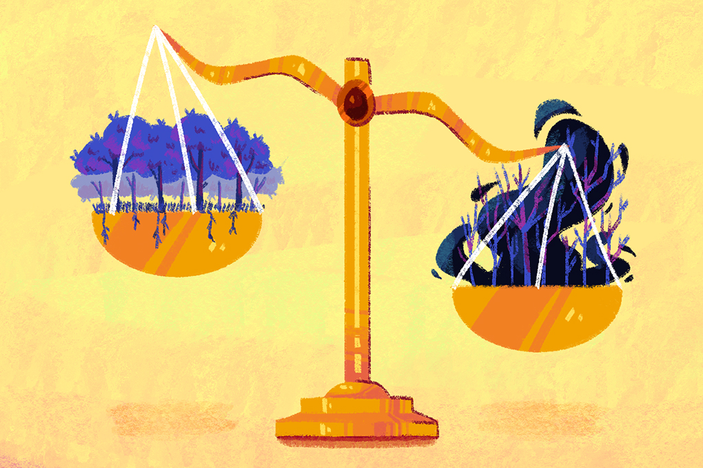 Coluna Carbono Zero: Amazônia já emite mais CO2 do que absorve