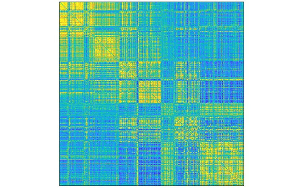 Imagem de um conectoma de um cérebro