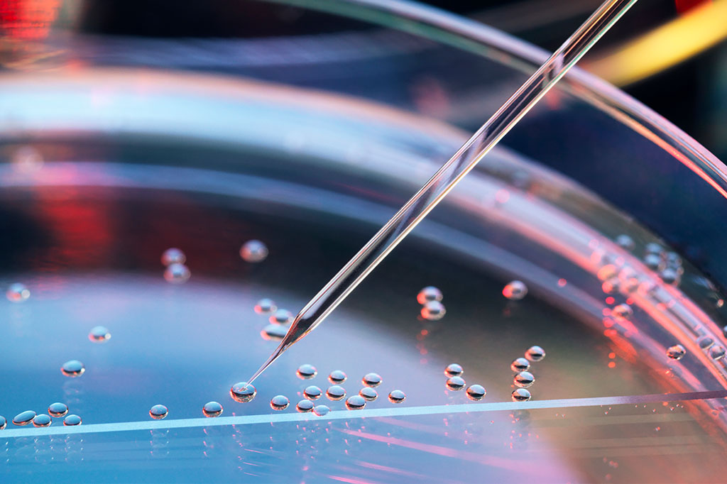 FDA interrompe teste de remédio genético