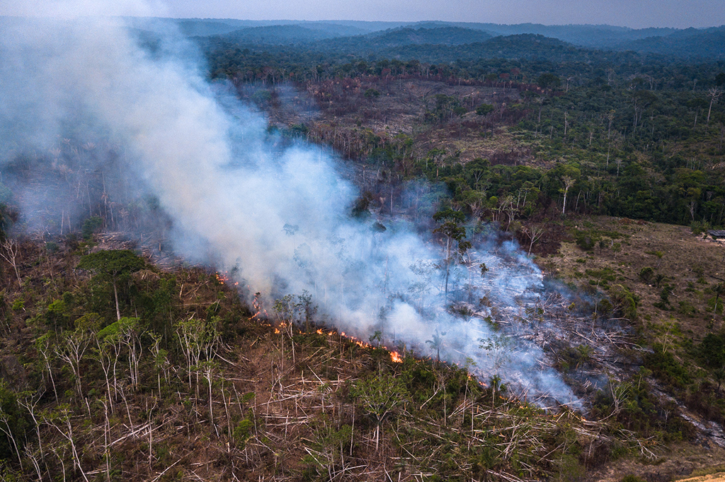 Floresta amazônica sendo queimada.