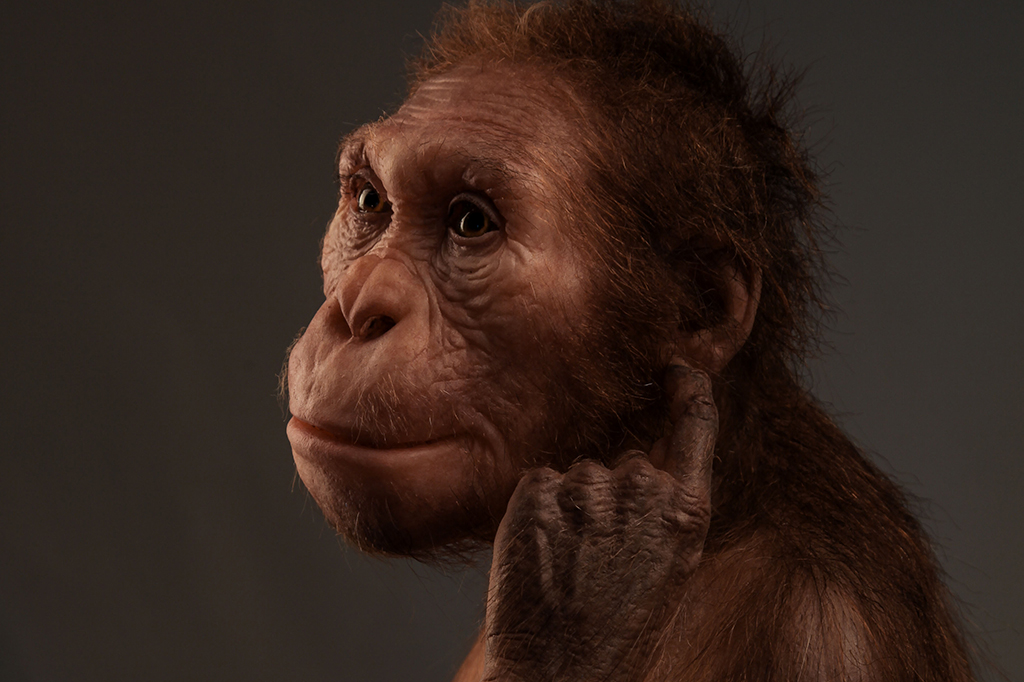 Escultura de Australopithecus.
