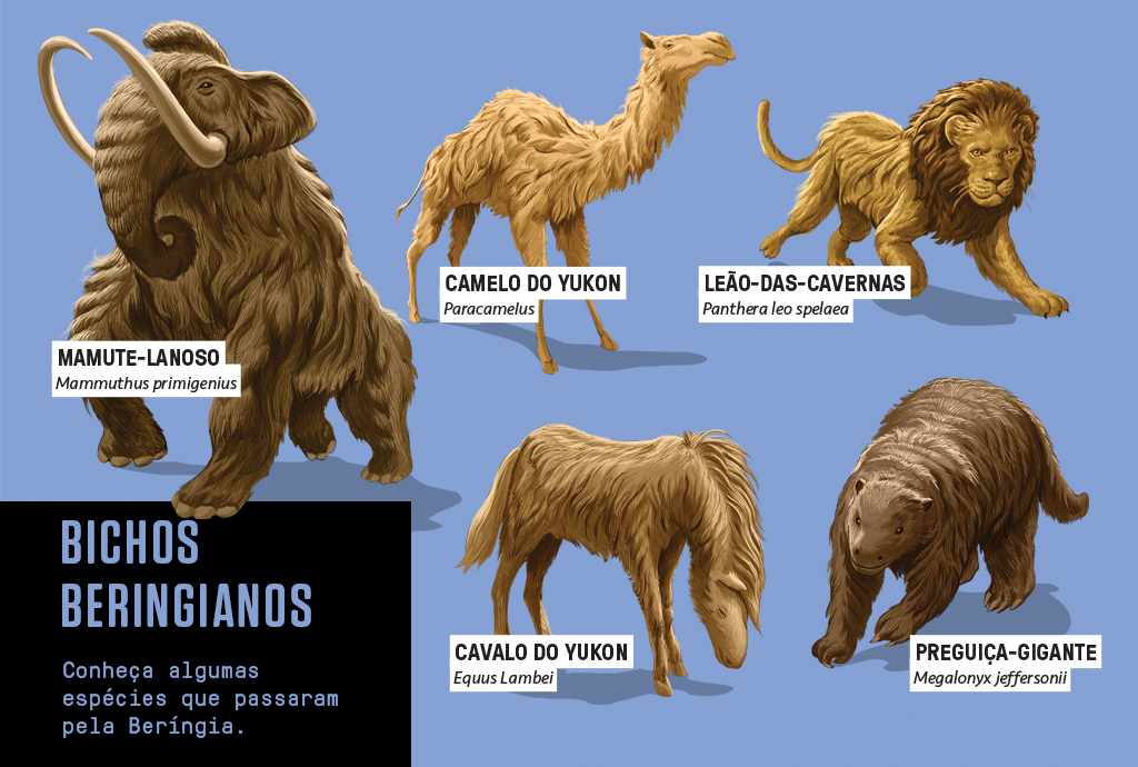 Ilustração de 5 animais que passaram pela Beríngia: Mamute-lanoso, camelo do Yukon, leão-das-cavernas, cavalo do Yukon e preguiça-gigante.