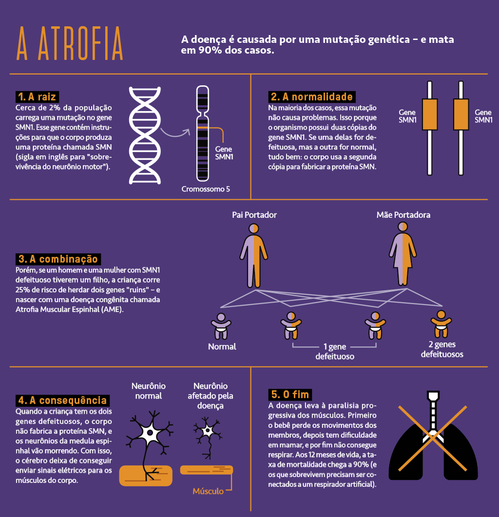 Legendas e ícones explicando a atrofia muscular espinhal.