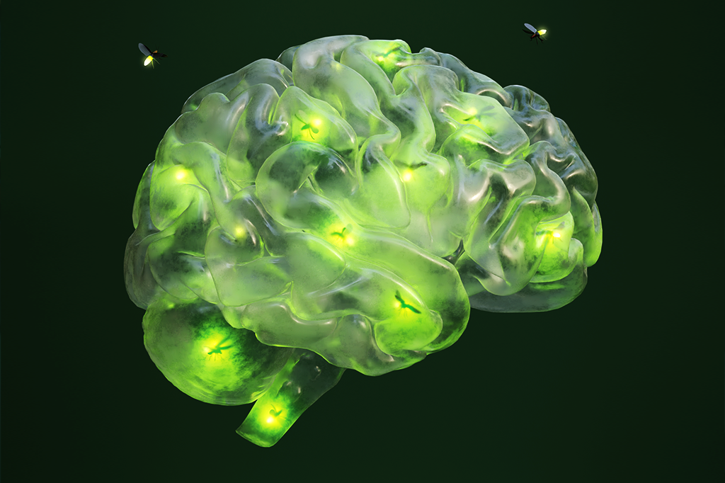 Ilustração 3D de cérebro transparente com vagalumes dentro.