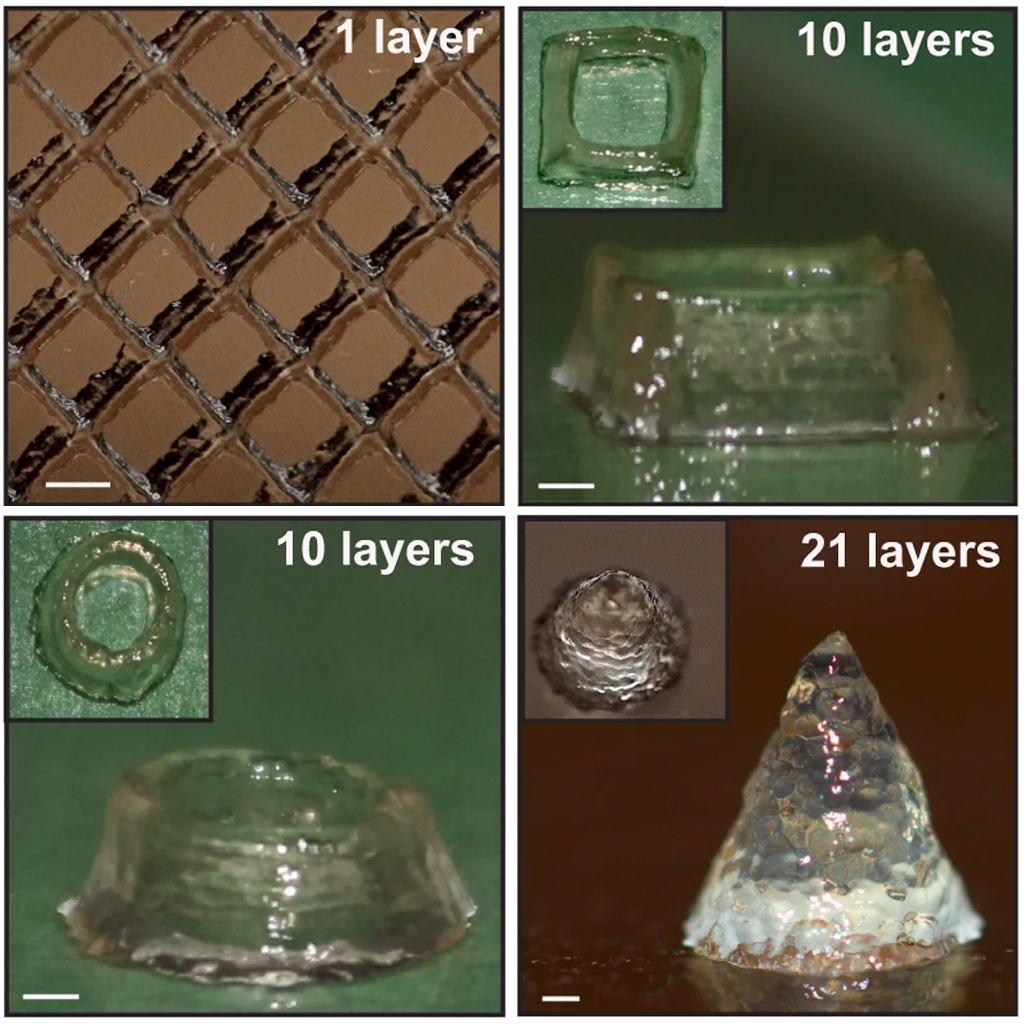 Estruturas feitas em impressora 3D utilizando bactérias.