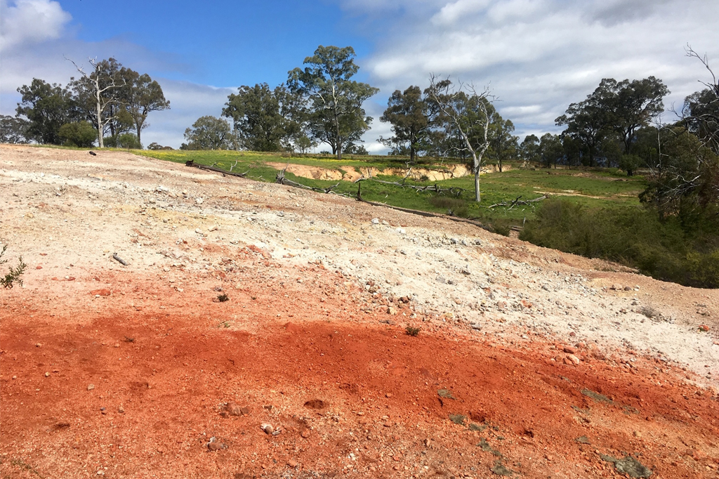 Esta floresta na Austrália está queimando há 6 mil anos