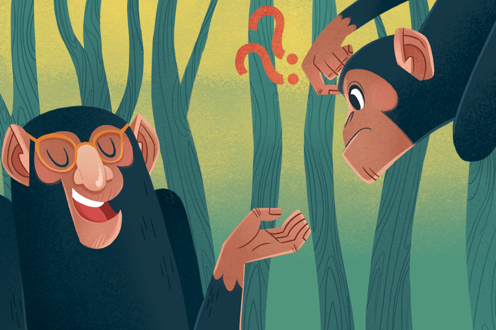 Como e por que surgiu o nariz em humanos, se os chimpanzés têm fendas?