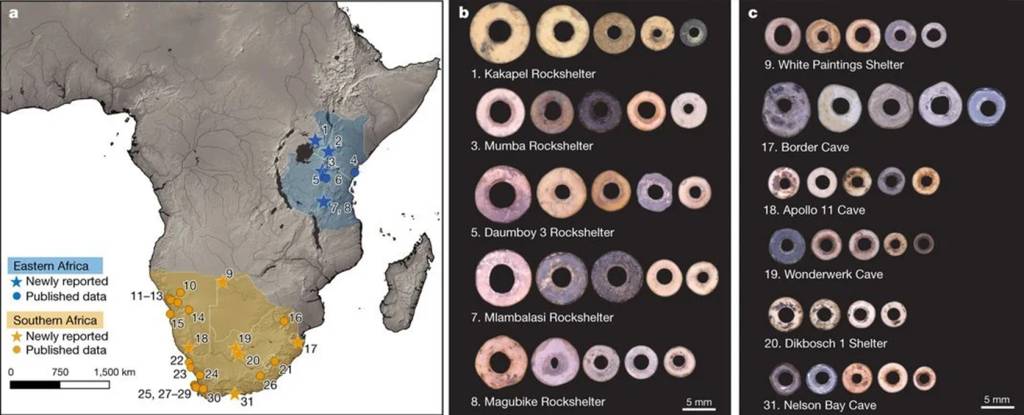 Comparação de contas de ovos de avestruz mapeadas nas regiões sul e leste da África.