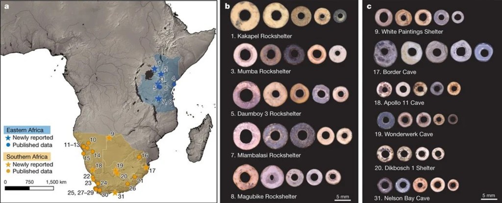 Comparação de contas de ovos de avestruz mapeadas nas regiões sul e leste da África.