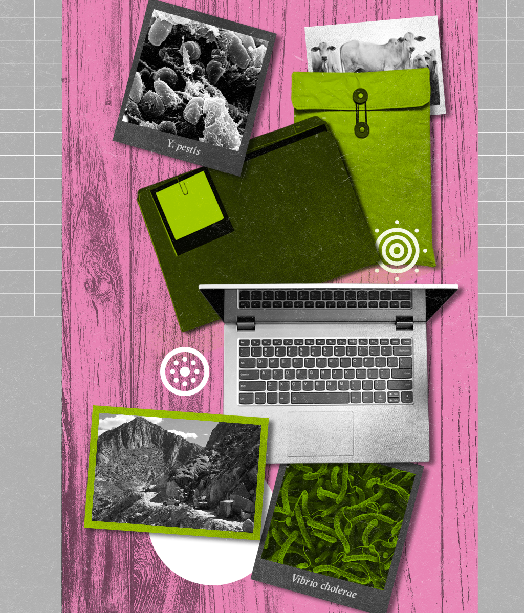 Colagem com os seguintes elementos: notebook, pastas de arquivos e fotos de bois, uma caverna e bactérias.