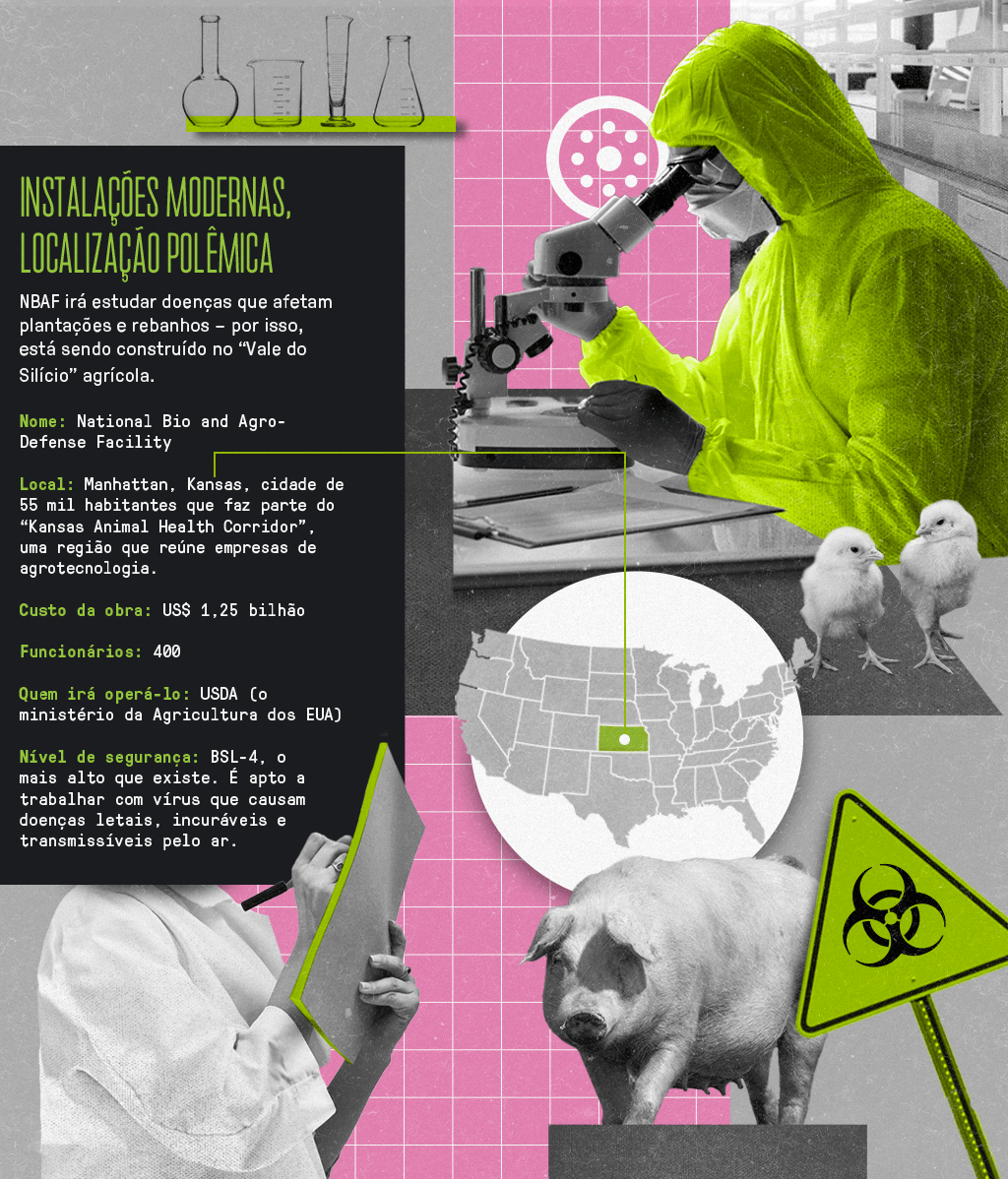 Colagem com os seguintes elementos: Cientistas, vidros de laboratório, mapa dos EUA, placa com o símbolo de biossegurança, um porco e dois pintinhos.