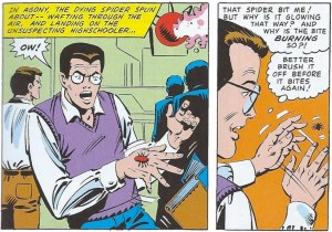Cena da aranha mordendo Peter Parker nos quadrinhos.
