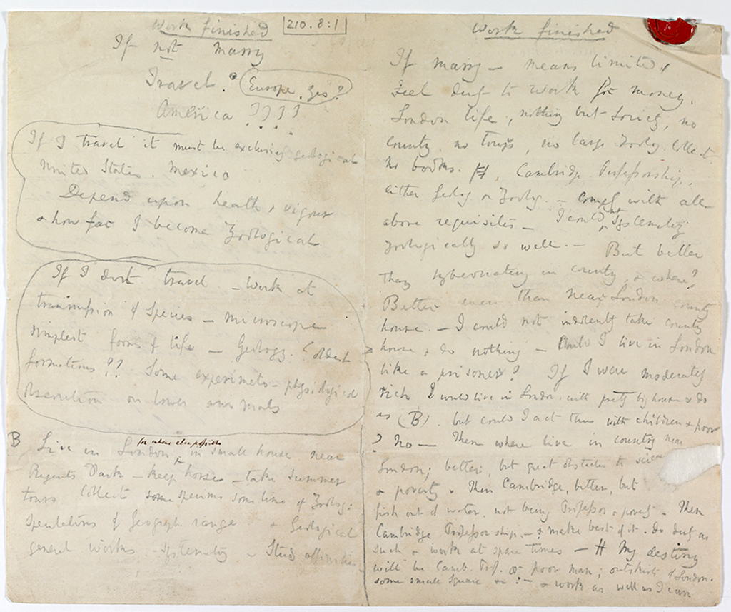 Lista de prós e contras do casamento escrita por Darwin.