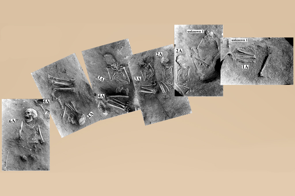 Fotografias das múmias encontradas.