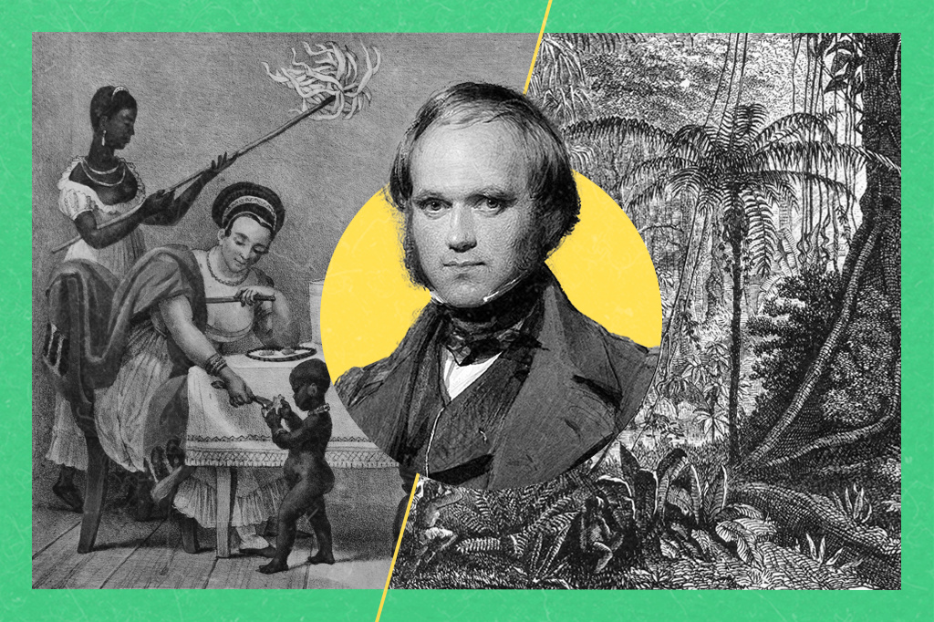 Colagem com Charles Darwin no centro da imagem, ao lado de uma pintura do Debret e de uma ilustração da floresta amazônica.