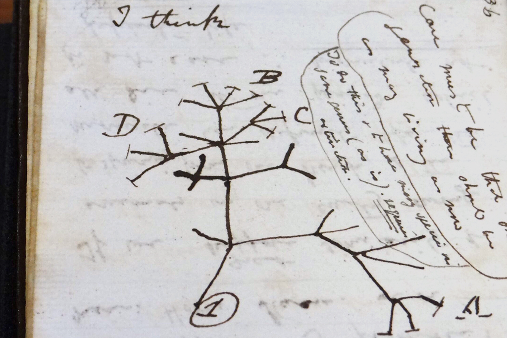 Escritos do caderno roubado de Darwin.