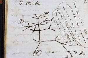 Cadernos roubados de Darwin retornam à biblioteca da Universidade de Cambridge