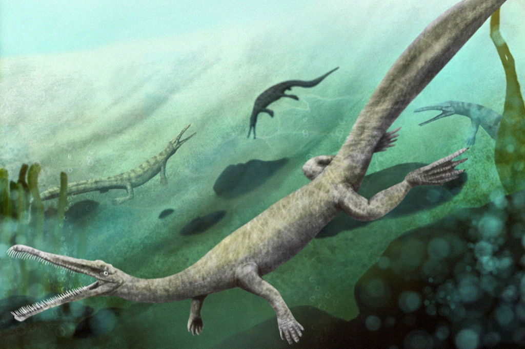 Mesossauro: o réptil que provou a Deriva Continental