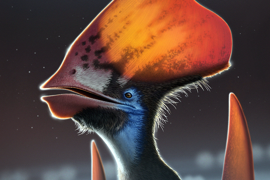 Ilustração de pterossauro.