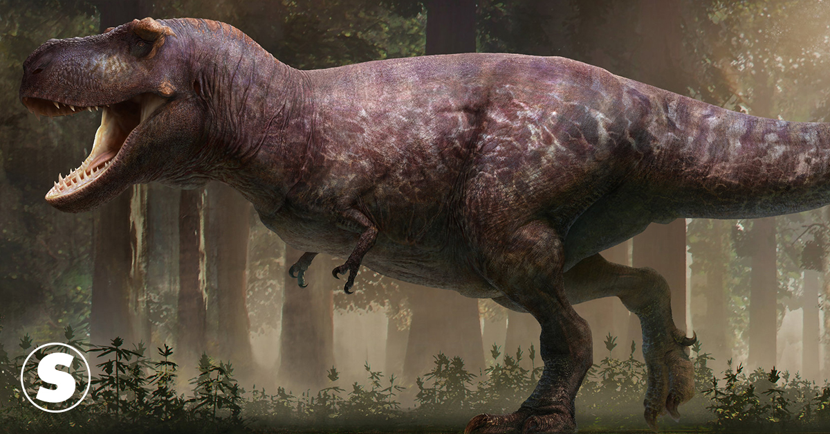 Por que os tiranossauros tinham braços curtos? Estudo sugere nova hipótese