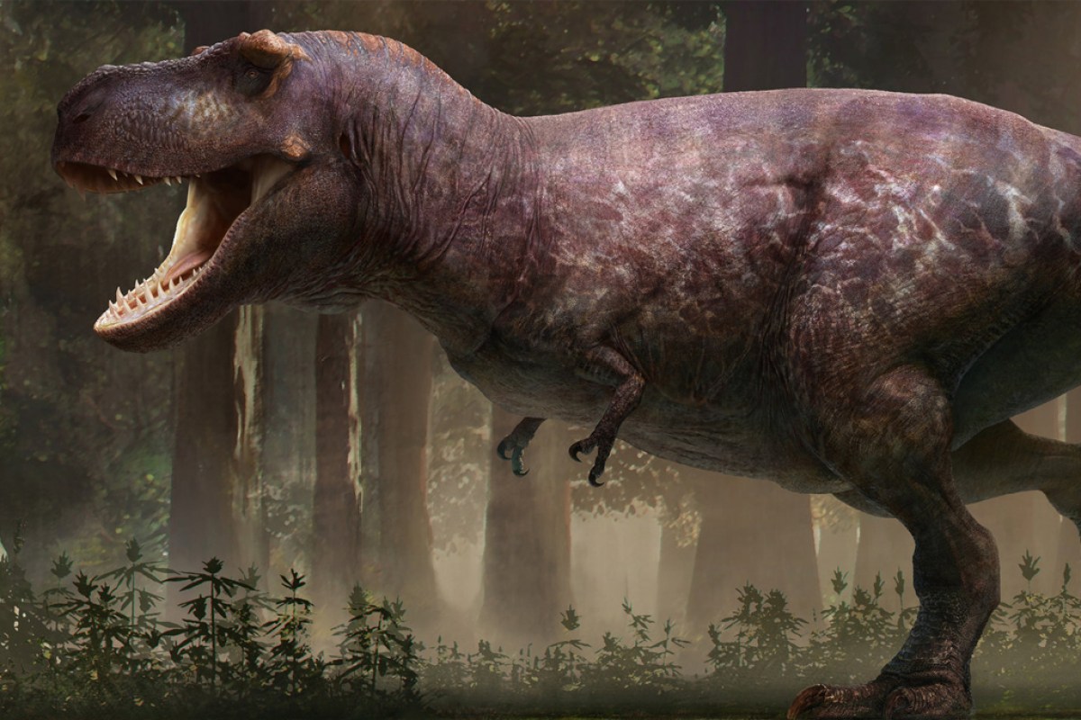 Por que os tiranossauros tinham braços curtos? Estudo sugere nova hipótese