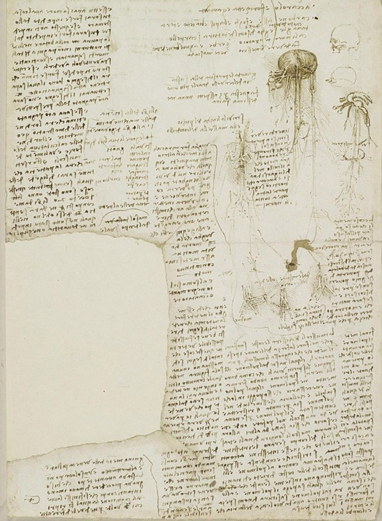 Lista de tarefas de Leonardo Da Vinci.
