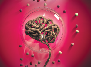 Foto de um cérebro feito de corda protegido por uma bola de vidro.
