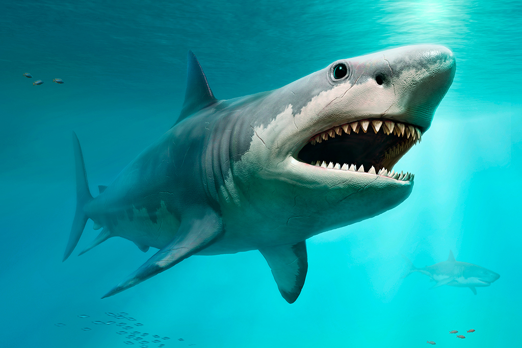 Ilustração 3D do Megalodon.