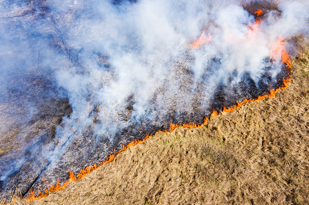 Imagem aérea de queimada, com bastante fumaça, se alastrando por um campo.