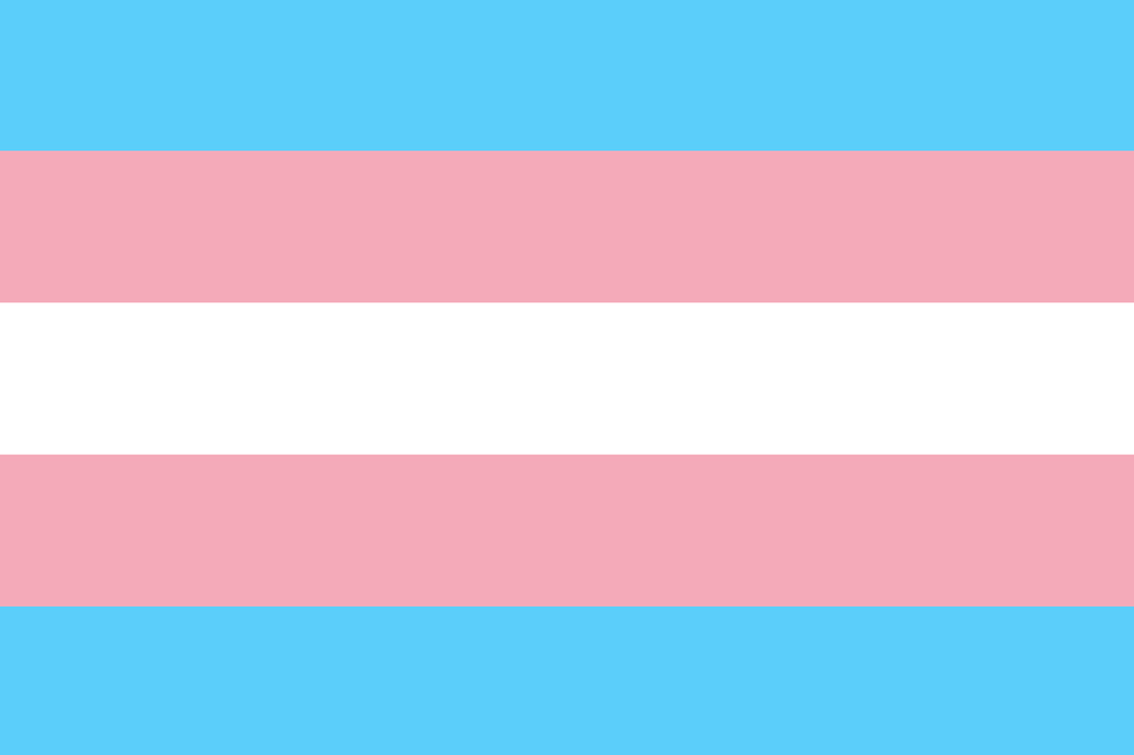 Imagem da bandeira do orgulho trans.