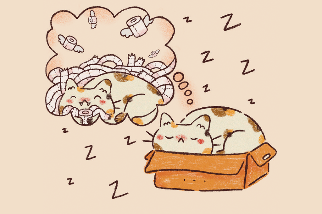 Ilustração de um gatinho sonhando com vários rolos de papel higiênico.